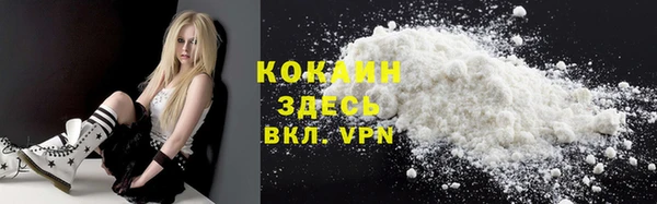 гашик Корсаков
