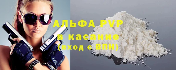 гашик Корсаков