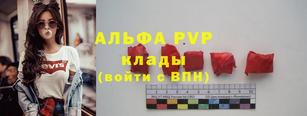 гашик Корсаков