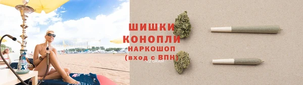 трава Костерёво