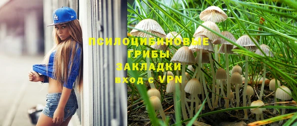 Альфа ПВП Коряжма