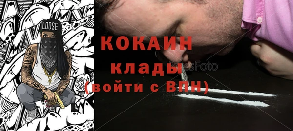 гашик Корсаков