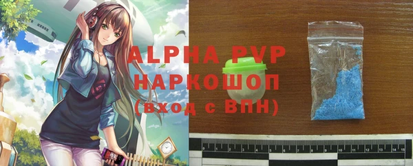 гашик Корсаков