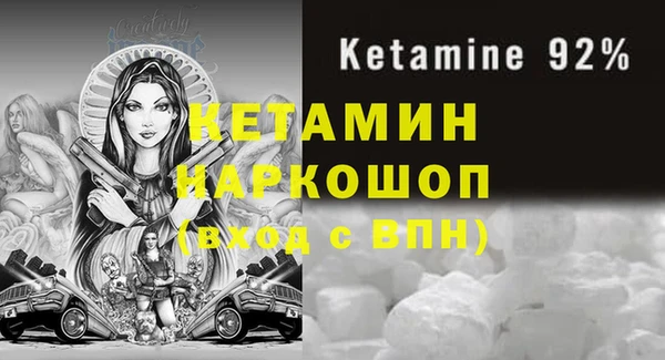 гашик Корсаков