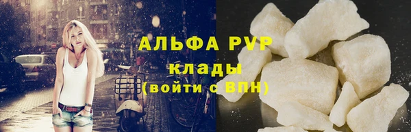гашик Корсаков