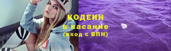 гашик Корсаков