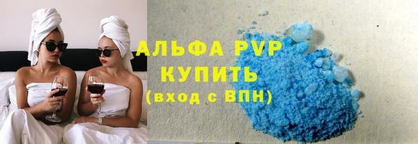 гашик Корсаков