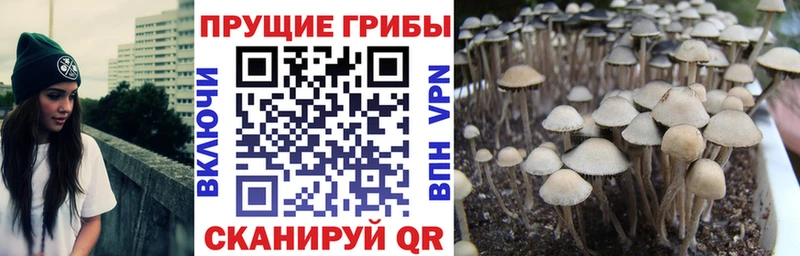 Купить  Изобильный  Псилоцибиновые грибы мухоморы 