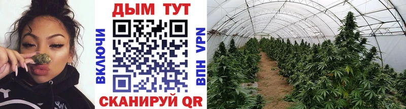 МАРИХУАНА индика  Купить где  Изобильный 